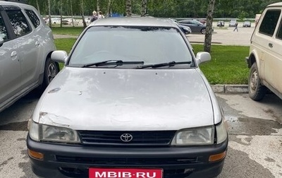 Toyota Corolla, 1995 год, 240 000 рублей, 1 фотография
