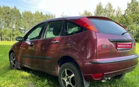 Ford Focus IV, 2003 год, 220 000 рублей, 1 фотография