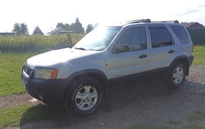 Ford Escape II, 2002 год, 600 000 рублей, 1 фотография