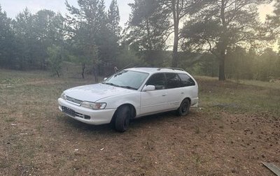 Toyota Corolla, 1998 год, 300 000 рублей, 1 фотография