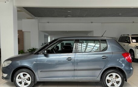 Skoda Fabia II, 2013 год, 899 000 рублей, 8 фотография