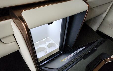 Lexus LM, 2024 год, 18 500 000 рублей, 16 фотография