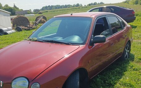 Toyota Corolla, 1999 год, 250 000 рублей, 2 фотография