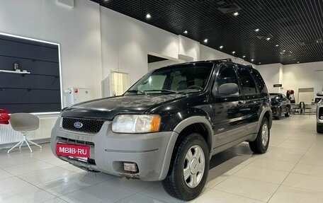 Ford Escape II, 2001 год, 400 000 рублей, 1 фотография