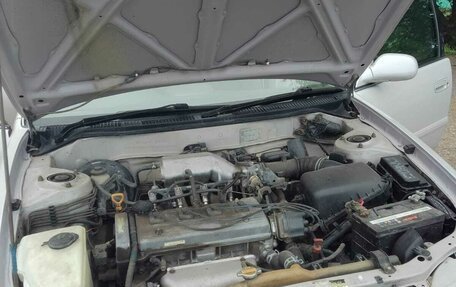 Toyota Corolla, 1997 год, 370 000 рублей, 5 фотография