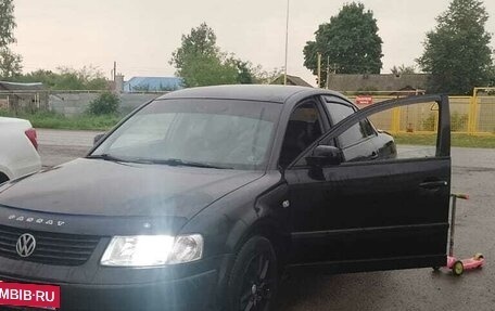 Volkswagen Passat B5+ рестайлинг, 1999 год, 360 000 рублей, 4 фотография