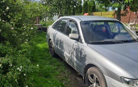 Mazda 626, 2001 год, 280 000 рублей, 6 фотография