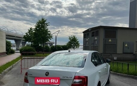 Skoda Octavia, 2019 год, 1 590 000 рублей, 3 фотография