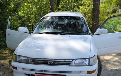 Toyota Corolla, 1999 год, 330 000 рублей, 1 фотография