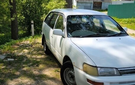 Toyota Corolla, 1999 год, 330 000 рублей, 5 фотография