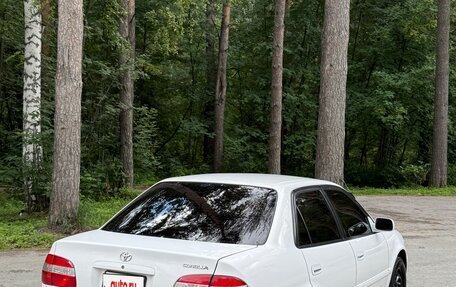 Toyota Corolla, 1998 год, 360 000 рублей, 8 фотография