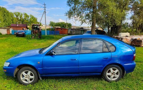 Toyota Corolla, 1996 год, 170 000 рублей, 4 фотография