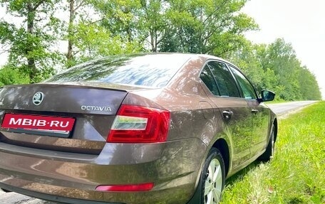Skoda Octavia, 2015 год, 1 200 000 рублей, 8 фотография