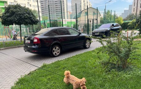 Skoda Octavia, 2011 год, 880 000 рублей, 7 фотография