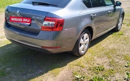 Skoda Octavia, 2020 год, 1 990 000 рублей, 28 фотография