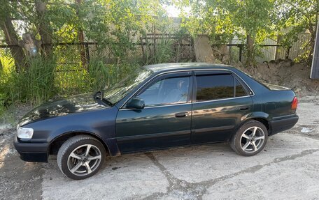 Toyota Corolla, 1996 год, 350 000 рублей, 4 фотография