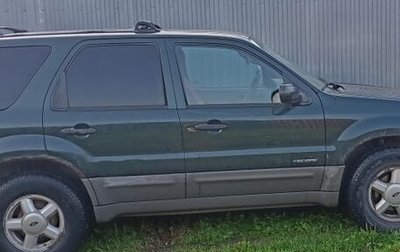 Ford Escape II, 2001 год, 350 000 рублей, 1 фотография