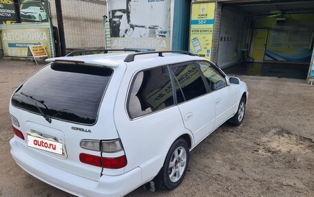 Toyota Corolla, 1999 год, 330 000 рублей, 5 фотография