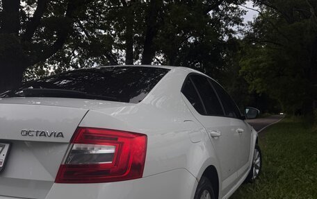 Skoda Octavia, 2019 год, 1 280 000 рублей, 6 фотография