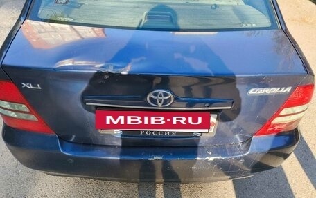 Toyota Corolla, 2003 год, 255 000 рублей, 3 фотография