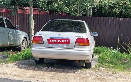 Toyota Corolla, 1997 год, 600 000 рублей, 2 фотография