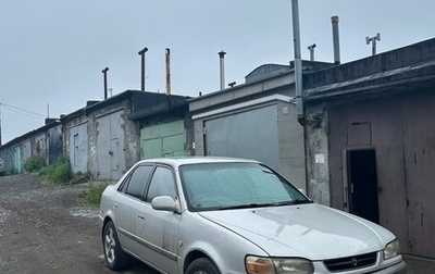 Toyota Corolla, 1995 год, 370 000 рублей, 1 фотография