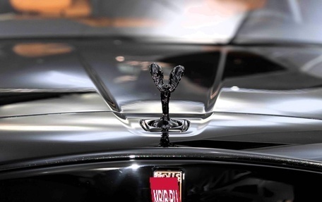 Rolls-Royce Cullinan, 2025 год, 56 810 000 рублей, 10 фотография