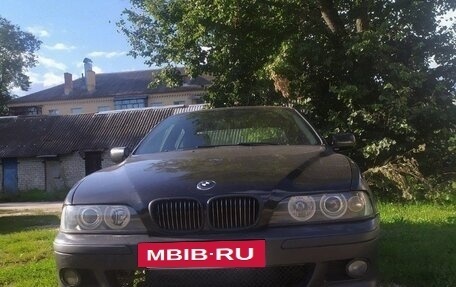 BMW 5 серия, 1996 год, 250 000 рублей, 6 фотография
