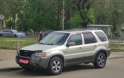 Ford Escape II, 2003 год, 490 000 рублей, 1 фотография