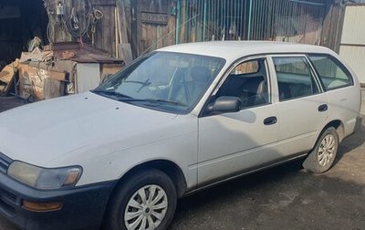 Toyota Corolla, 1999 год, 350 000 рублей, 1 фотография