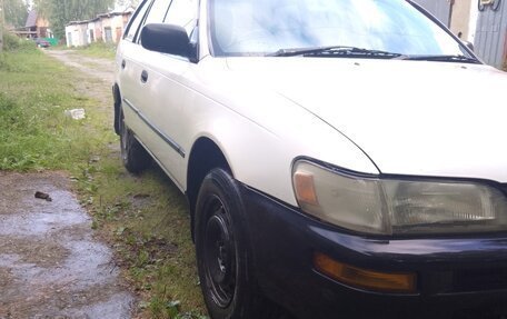Toyota Corolla, 1998 год, 330 000 рублей, 2 фотография