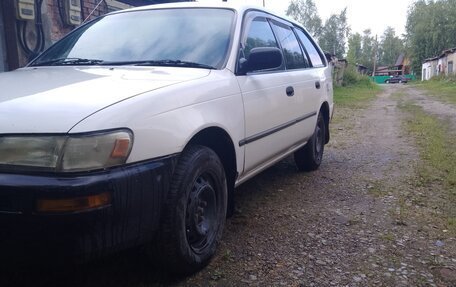 Toyota Corolla, 1998 год, 330 000 рублей, 13 фотография