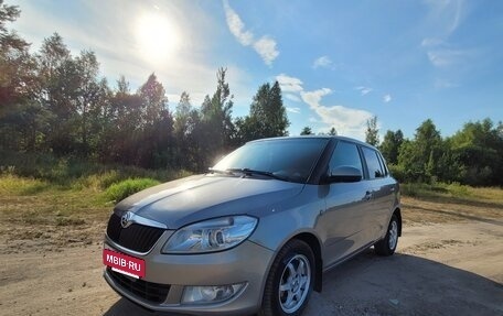 Skoda Fabia II, 2010 год, 480 000 рублей, 2 фотография