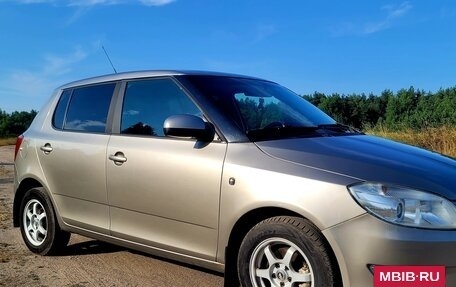 Skoda Fabia II, 2010 год, 480 000 рублей, 7 фотография