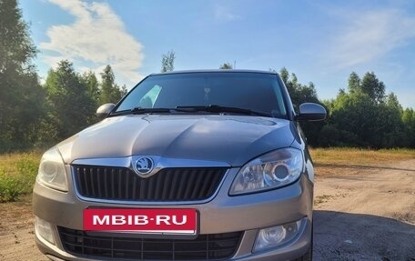 Skoda Fabia II, 2010 год, 480 000 рублей, 9 фотография