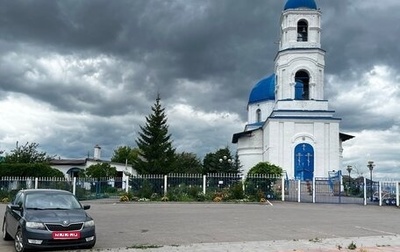 Skoda Rapid I, 2015 год, 820 000 рублей, 1 фотография