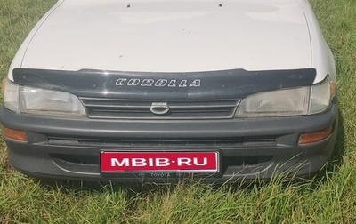 Toyota Corolla, 2001 год, 340 000 рублей, 1 фотография