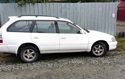 Toyota Corolla, 1998 год, 400 000 рублей, 1 фотография