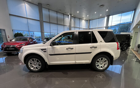 Land Rover Freelander II рестайлинг 2, 2010 год, 1 460 000 рублей, 12 фотография