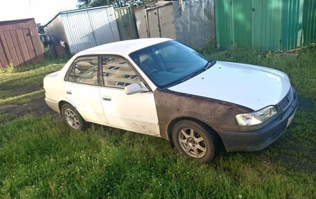 Toyota Corolla, 1999 год, 220 000 рублей, 2 фотография