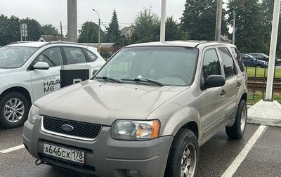 Ford Escape II, 2001 год, 359 000 рублей, 1 фотография