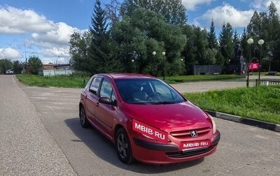 Peugeot 307 I, 2004 год, 300 000 рублей, 1 фотография