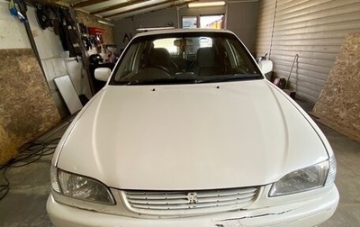 Toyota Corolla, 1998 год, 365 000 рублей, 1 фотография