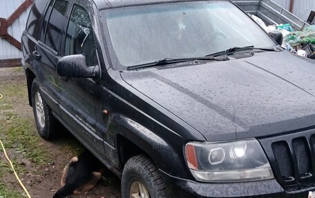 Jeep Grand Cherokee, 2002 год, 650 000 рублей, 2 фотография
