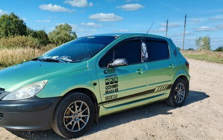 Peugeot 307 I, 2002 год, 300 000 рублей, 1 фотография