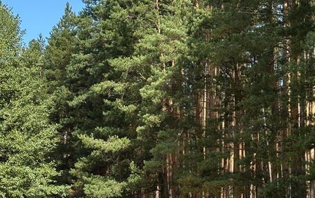 Volkswagen Touareg III, 2010 год, 1 150 000 рублей, 3 фотография