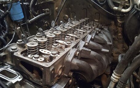 Nissan Safari IV, 1999 год, 1 550 000 рублей, 9 фотография