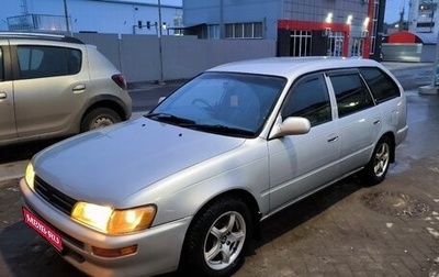 Toyota Corolla, 2001 год, 350 000 рублей, 1 фотография