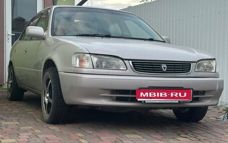 Toyota Corolla, 1998 год, 265 000 рублей, 1 фотография