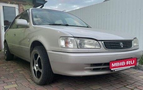 Toyota Corolla, 1998 год, 265 000 рублей, 2 фотография